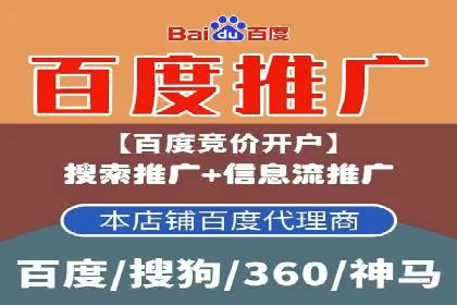 某电商平台信息流竞价策略及成效分析